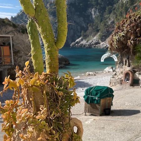 Capri Magic House On The Beach ภายนอก รูปภาพ