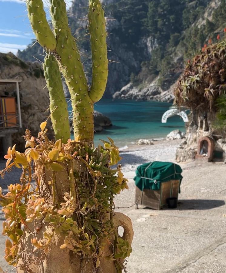 Capri Magic House On The Beach ภายนอก รูปภาพ